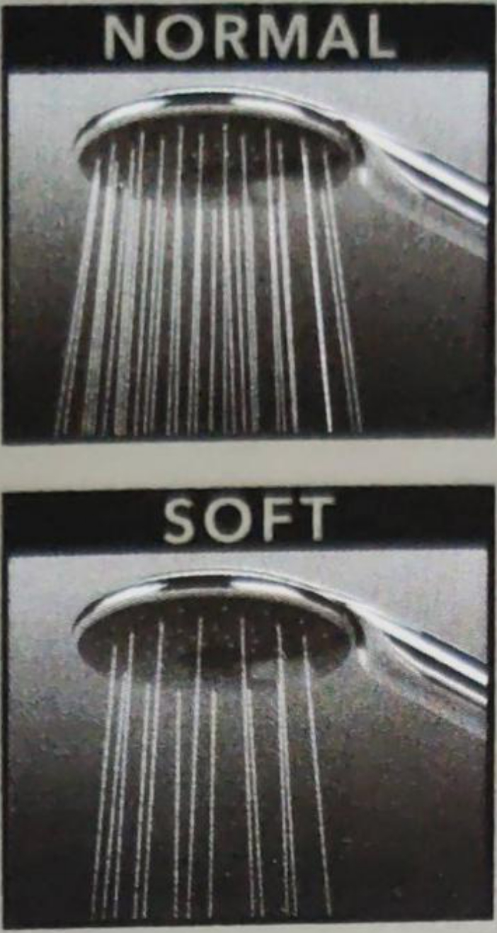 Two-Function Black Salon Hand Shower 331 Remer